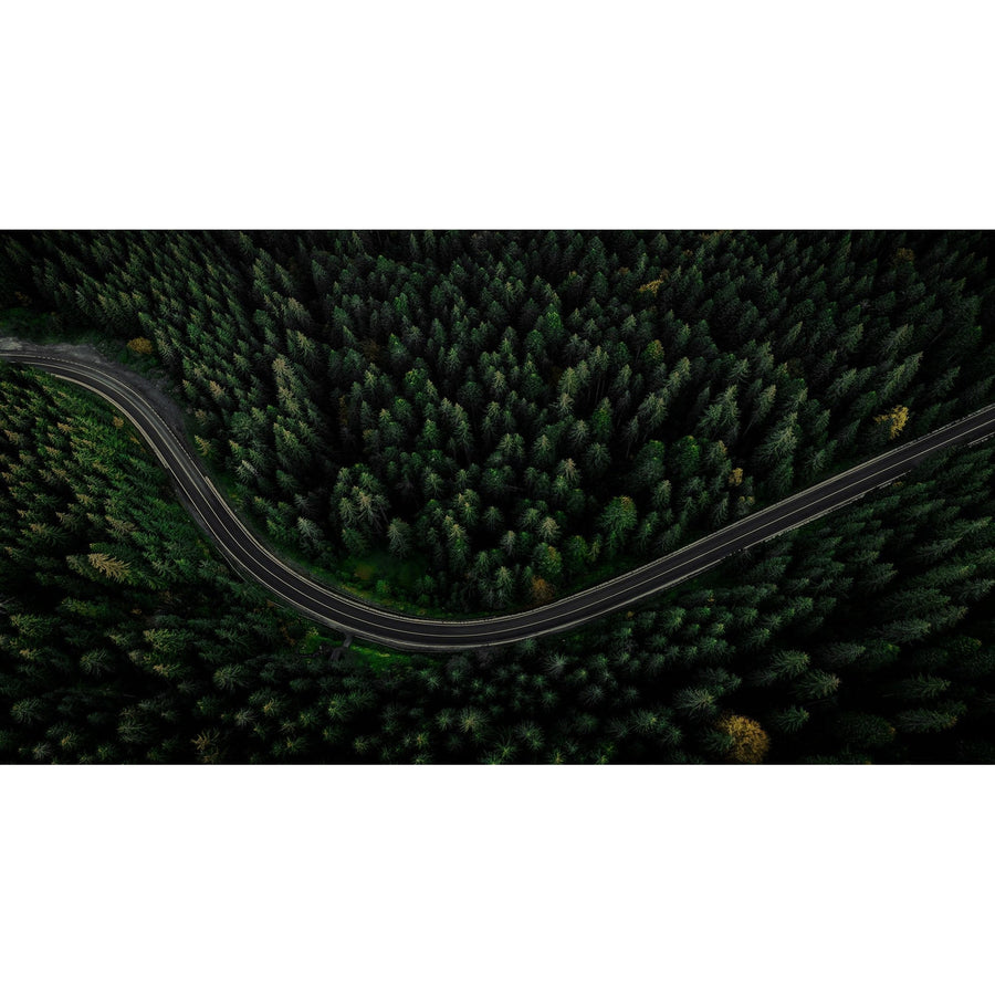 Winding Pathway-Wendover-WEND-WPH1995-Wall Art-1-France and Son
