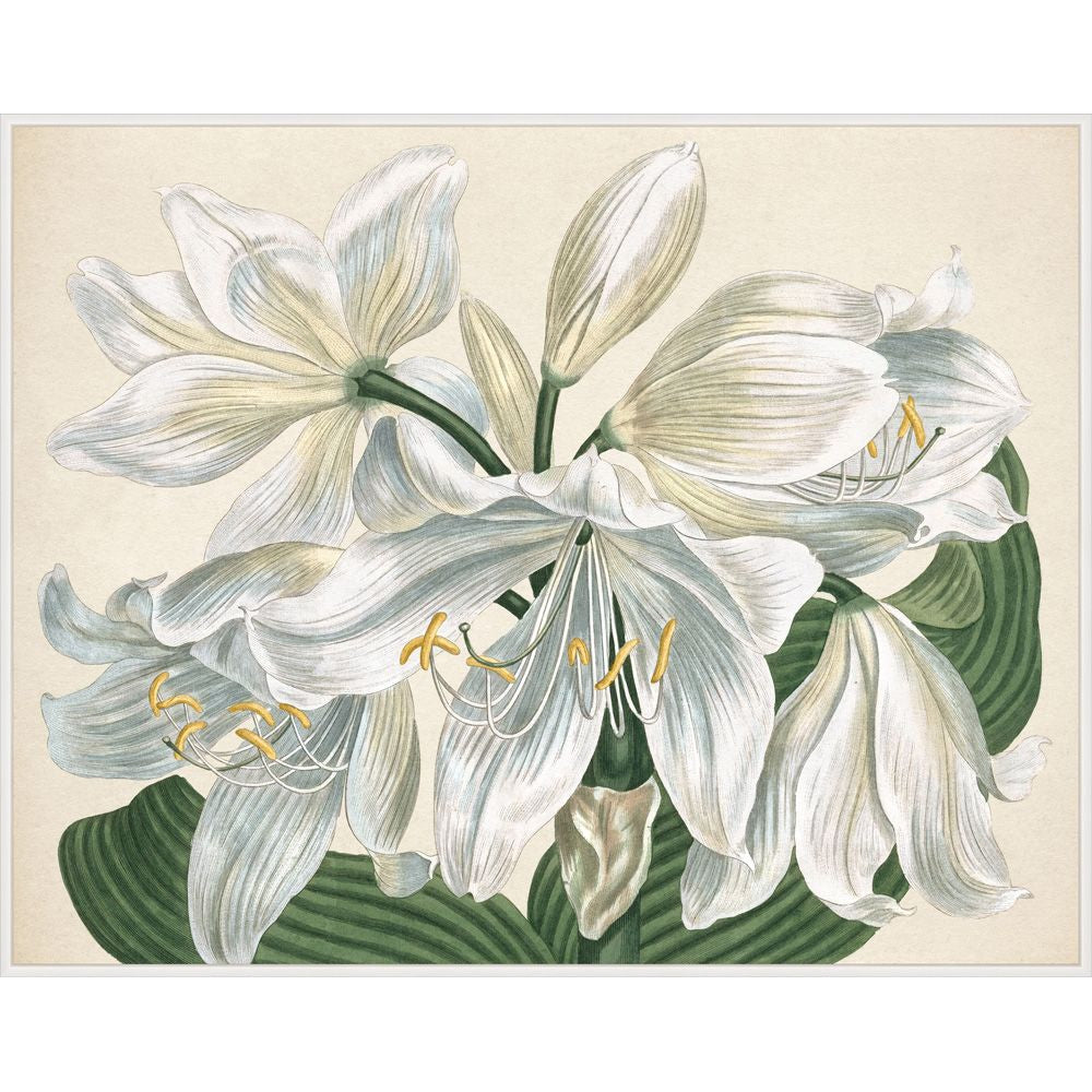 White Blooms-Wendover-WEND-LA2341-Wall Art2-2-France and Son