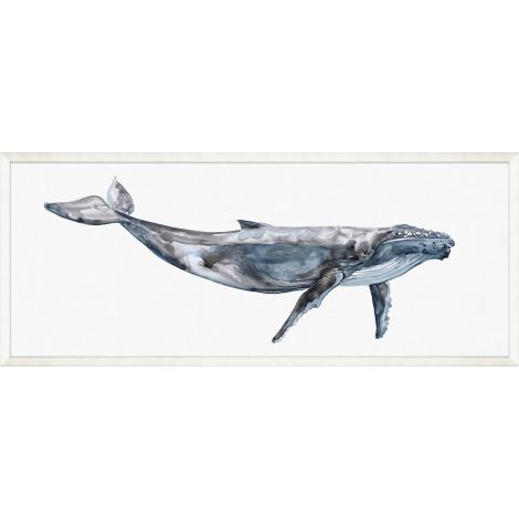 Whale Study 1-Wendover-WEND-WCL2716-Wall Art-1-France and Son