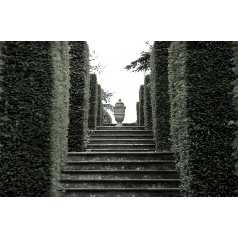 Ascending Elegance-Wendover-WEND-WTFH0517-Wall Art-1-France and Son