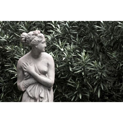 Gazing In The Garden-Wendover-WEND-WTFH0641-Wall Art-1-France and Son