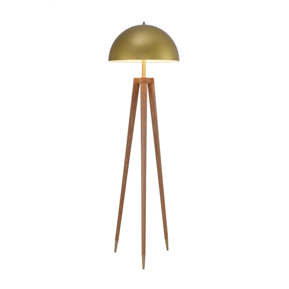 Brass Dome Roche Floor Lamp