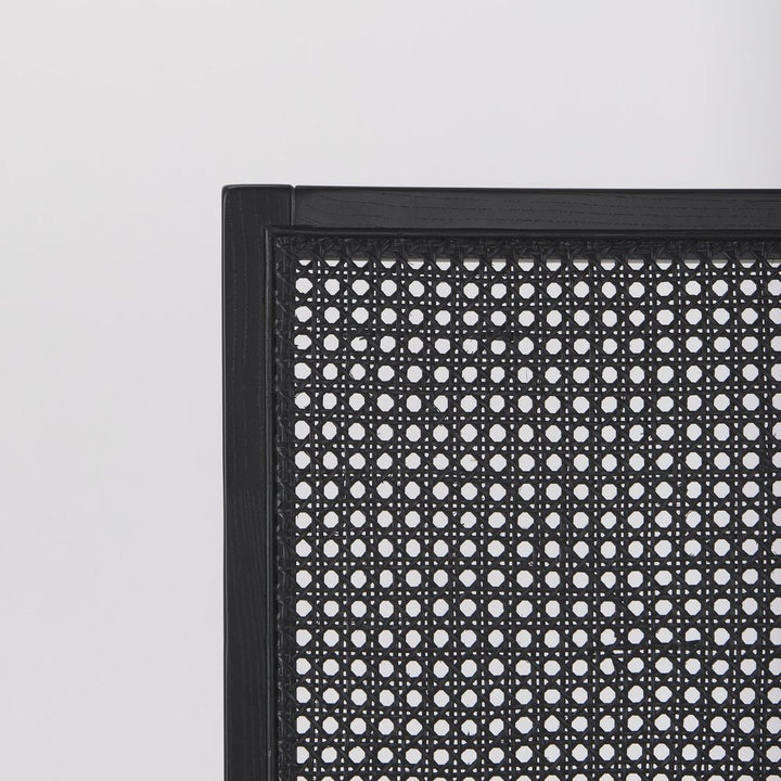 Salem Beige Fabric | Black Wood Dining Chair