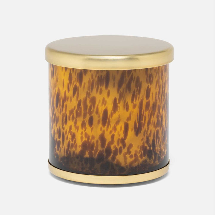 Benton, Amber/Matte Gold, Canister, Round, Large, Tortoise Glass/Stainless Steel