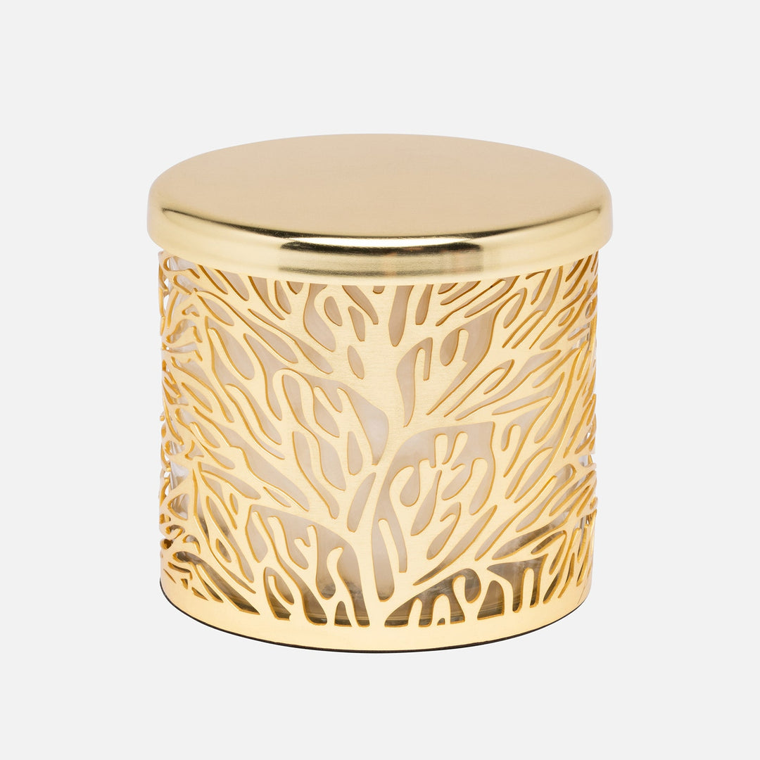 Lynn, Matte Gold/Clear, Canister, Round, Large, Stainless Steel/Glass