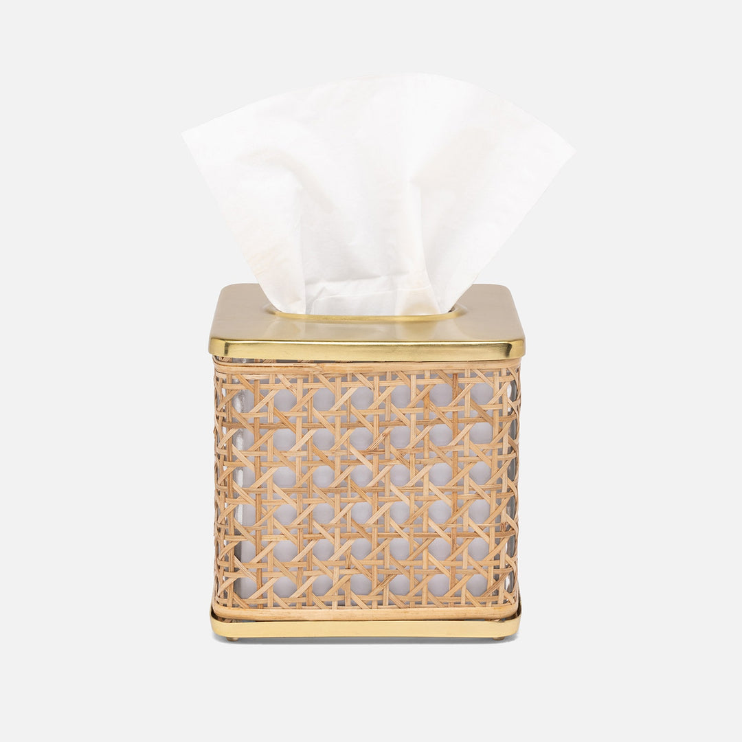 Norwell, Natural/Clear/Gold, Tissue Box, Square Straight, Rattan/Glass/Stainless Steel