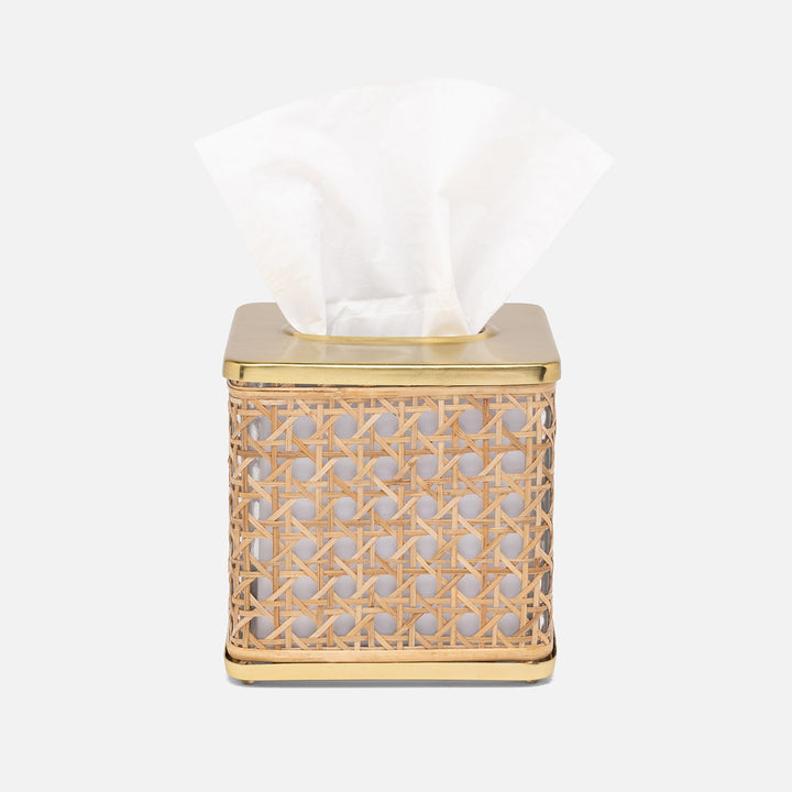 Norwell, Natural/Clear/Gold, Tissue Box, Square Straight, Rattan/Glass/Stainless Steel