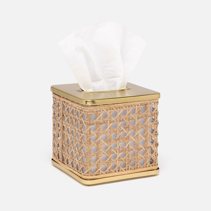 Norwell, Natural/Clear/Gold, Tissue Box, Square Straight, Rattan/Glass/Stainless Steel