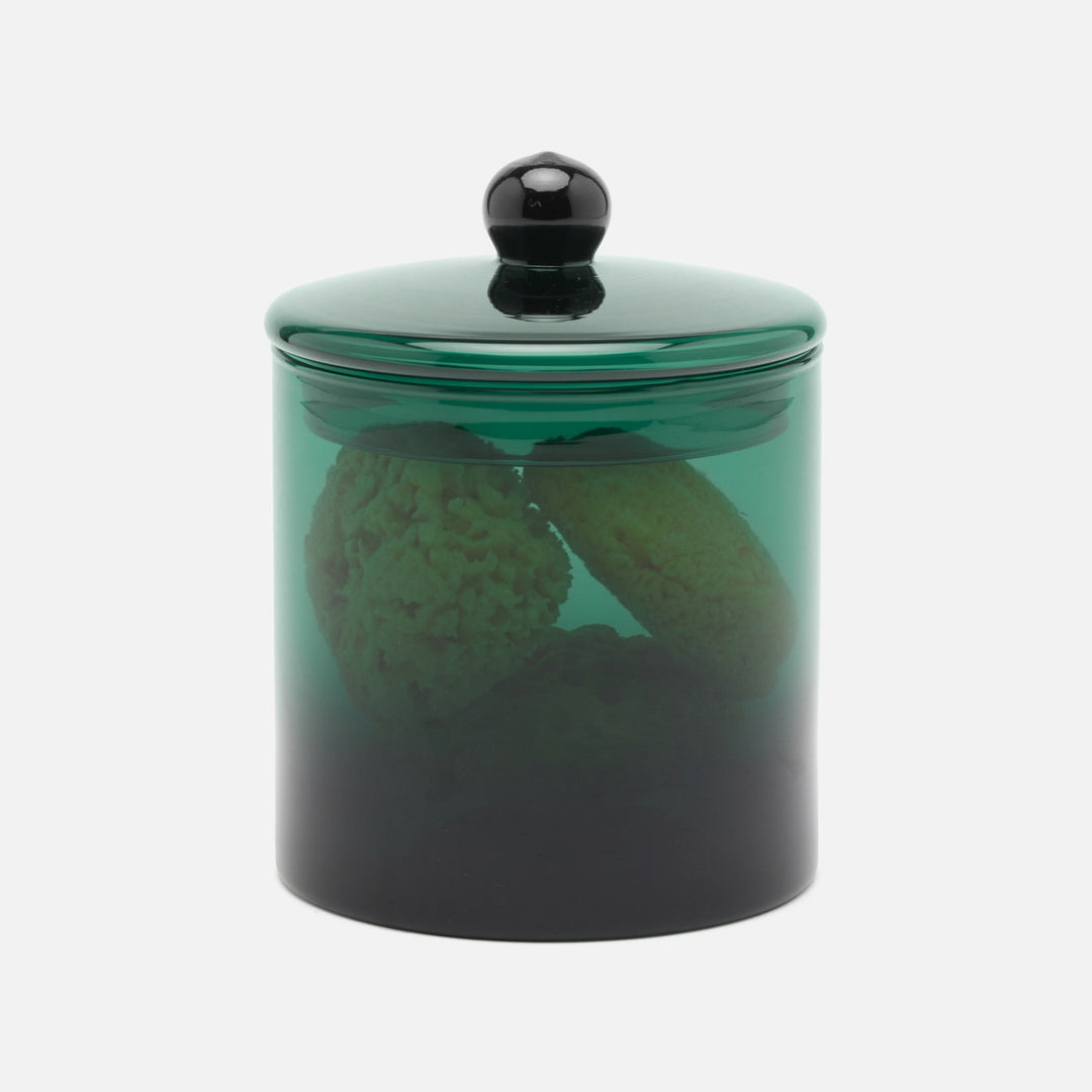 Darby, Smokey Green, Large Canister, Hand Blown Glass