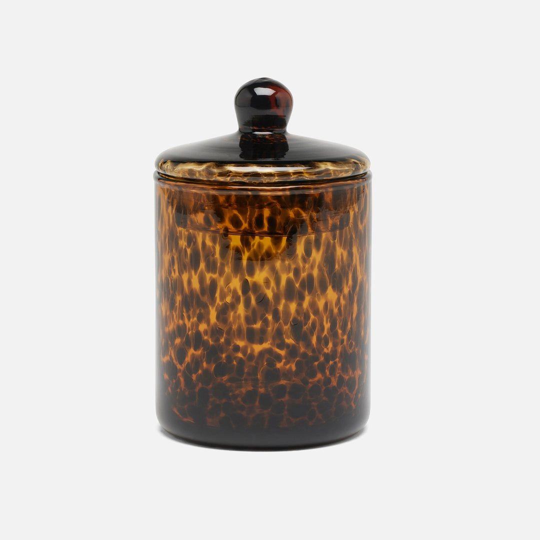 Darby, Tortoise, Canister, Medium, Handblown Glass