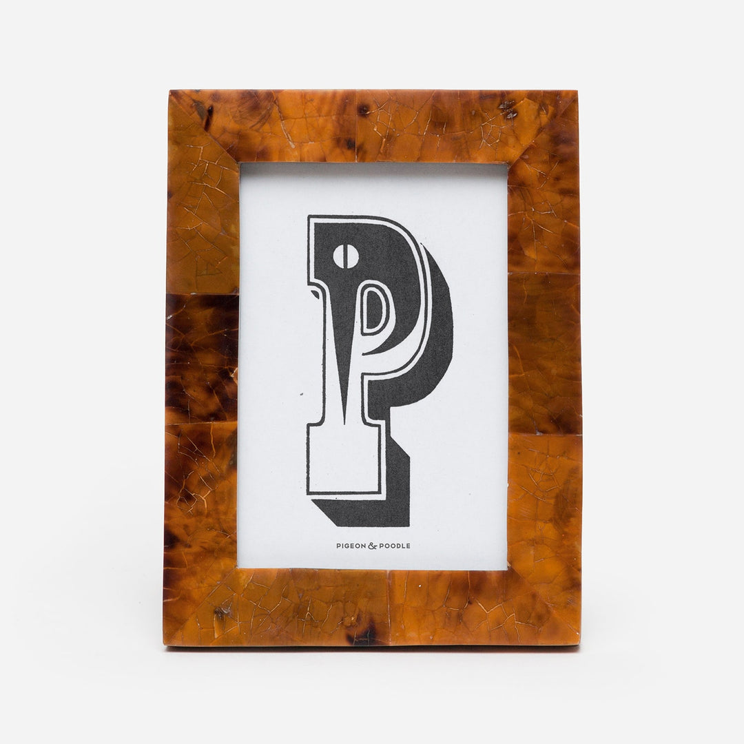 Basel, Young Pen, Frame, 4"X6", Shell