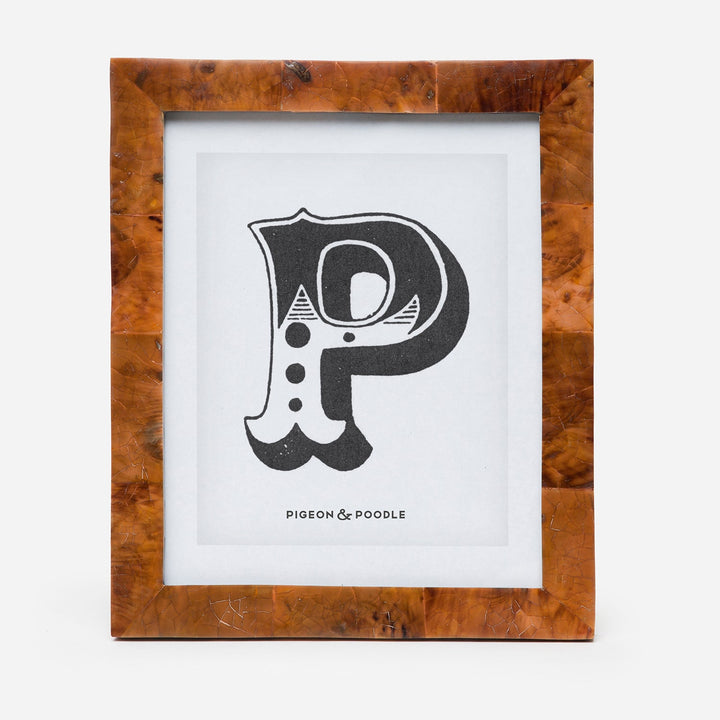 Basel, Young Pen, Frame, 8"X10", Shell