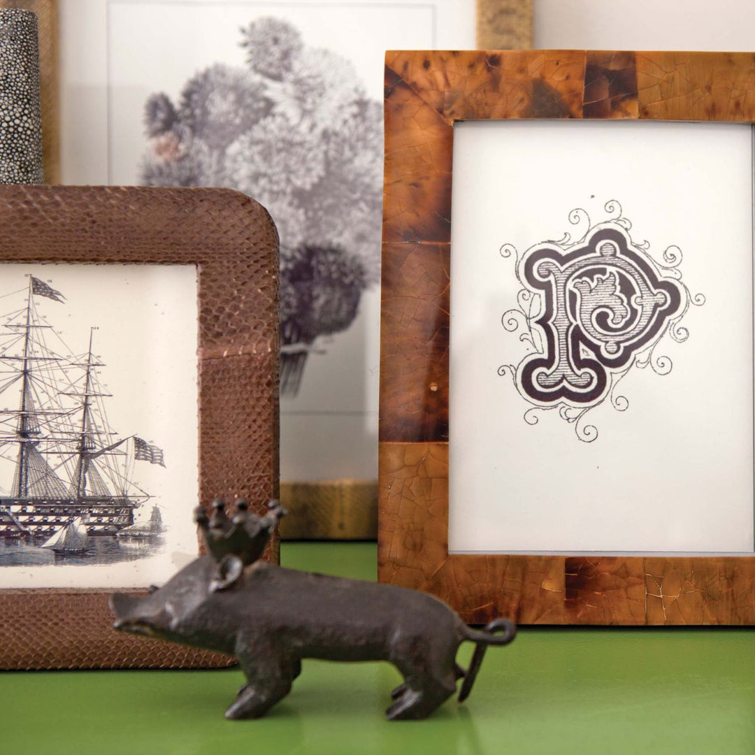 Basel, Young Pen, Frame, 8"X10", Shell