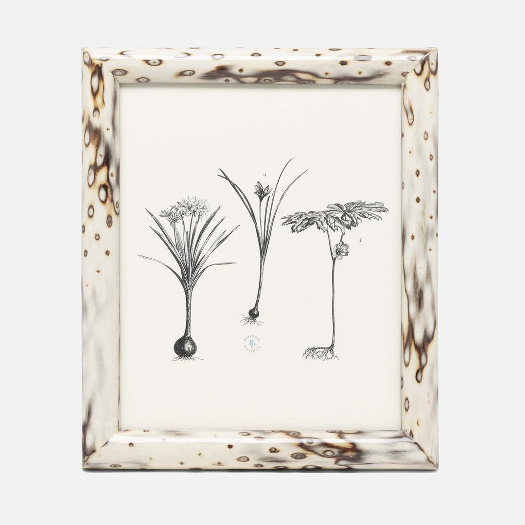 Bisbee, Maple, Frame, 8"X10", Birdseye Burl Veneer