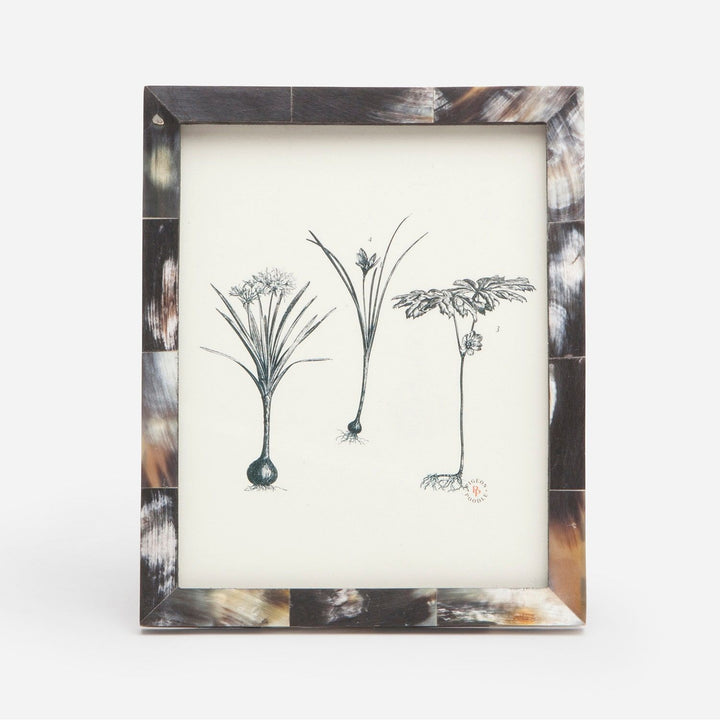 Essen, Dark, Frame, 8"X10", Horn