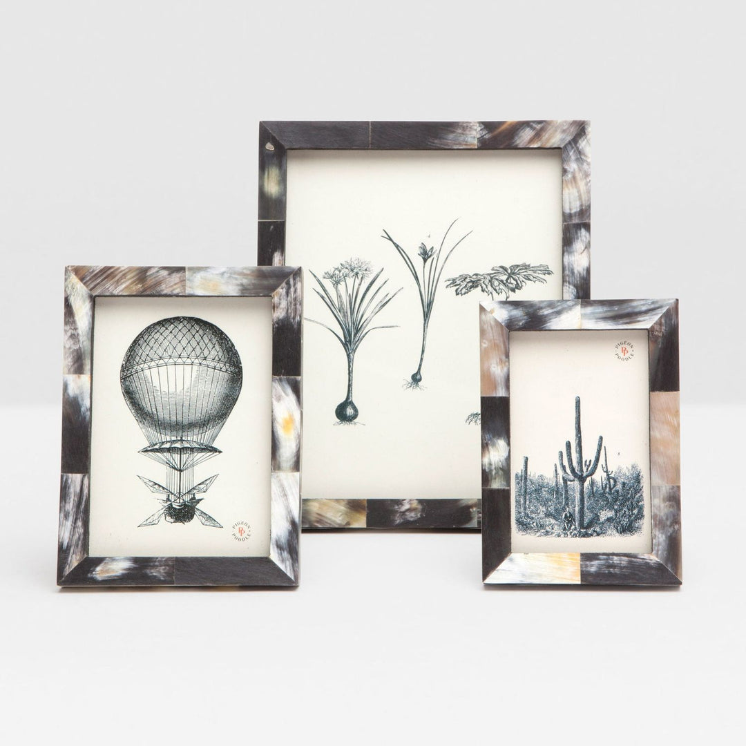 Essen, Dark, Frame, 8"X10", Horn