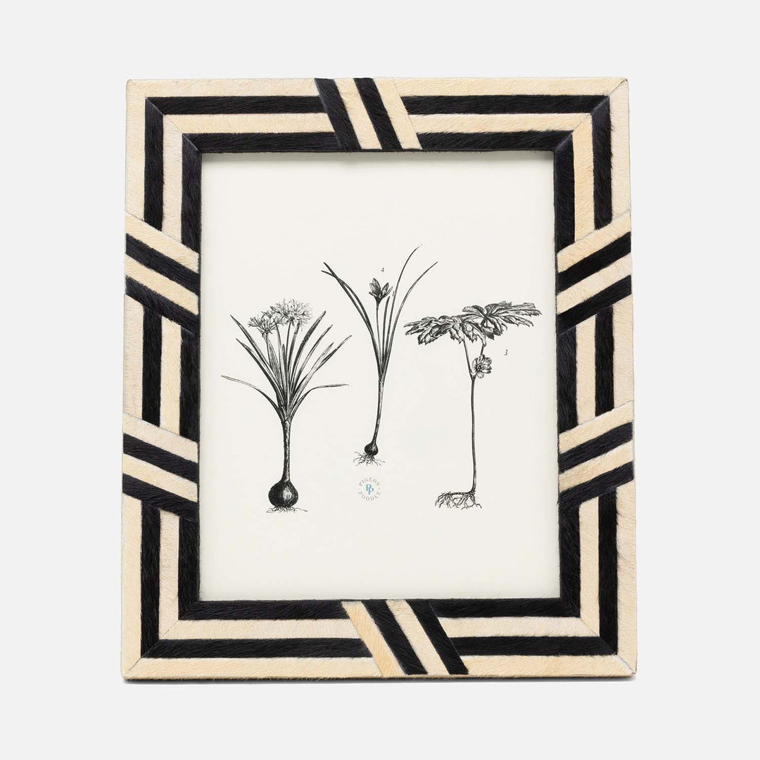 Helos, Beige/Dark Brown, Frame, 8"X10", Hair-On-Hide