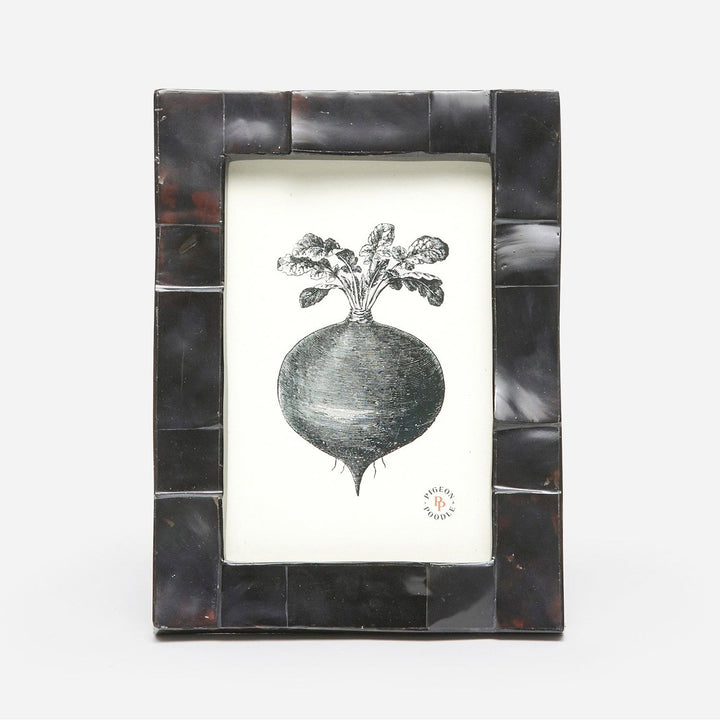 Lesina, Black Pen, Frame, 4"X6", Shell