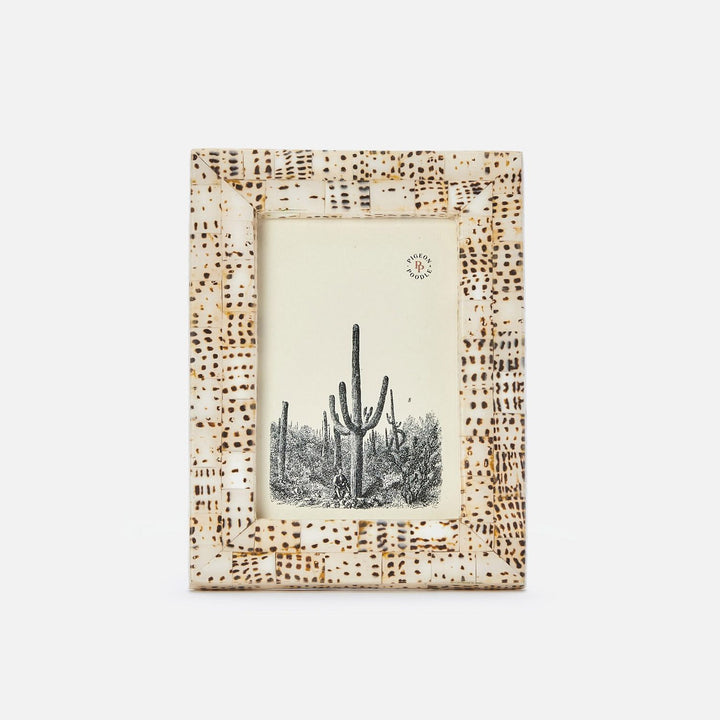 Mombasa, Tiger Cowrie, Frame, 4"X6", Shell
