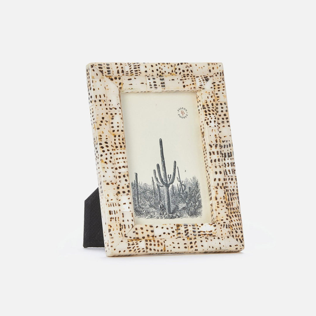 Mombasa, Tiger Cowrie, Frame, 4"X6", Shell