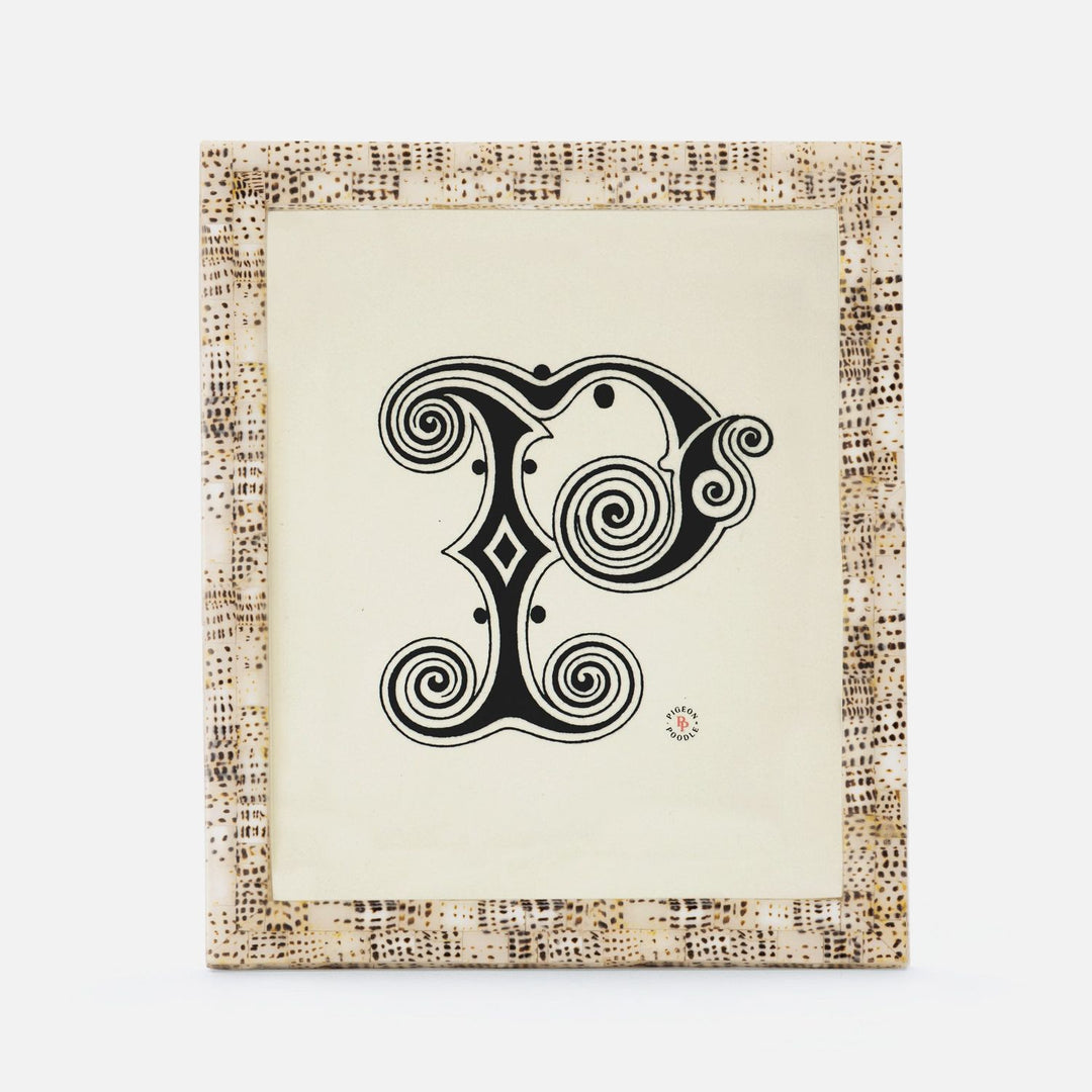 Mombasa, Tiger Cowrie, Frame, 8"X10", Shell