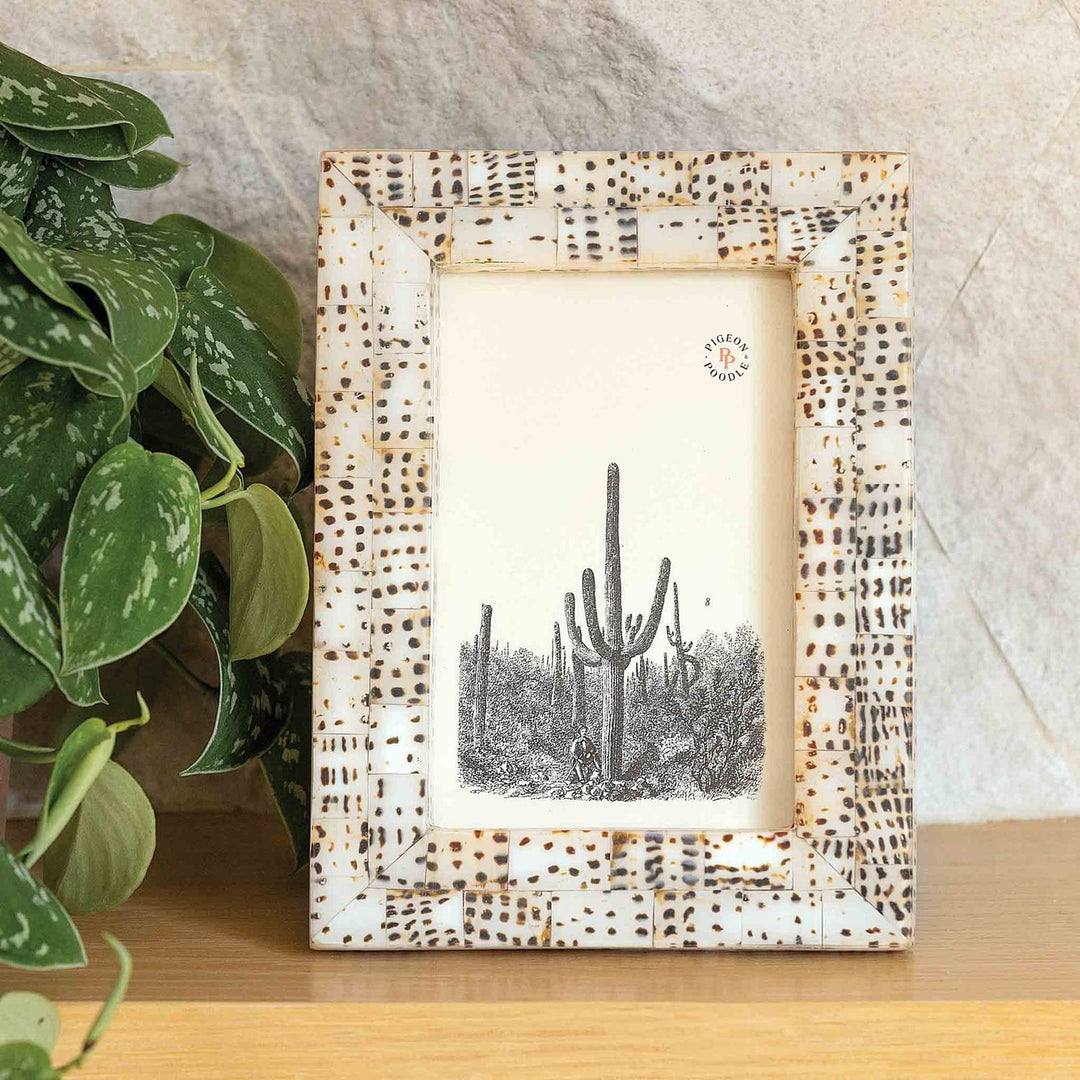 Mombasa, Tiger Cowrie, Frame, 8"X10", Shell