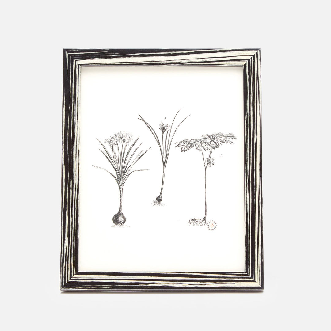 Steinfeld, Black/White, Frame, 8"X10", Lacquered Veneer