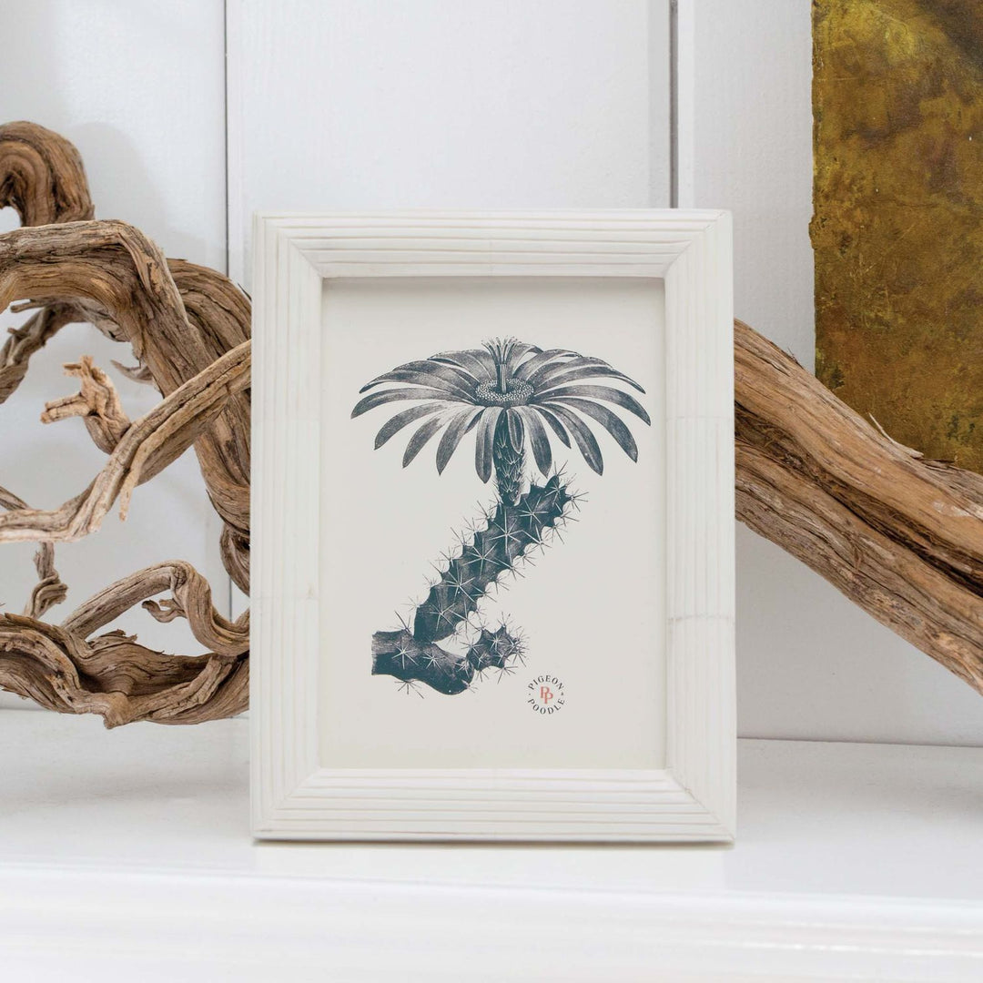 Velden, Natural, Frame, 4"X6", Bone