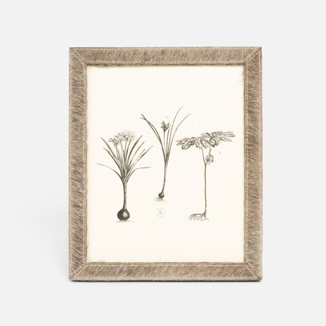 Verwood, Gray, Frame, 8"X 10", Hair-On-Hide