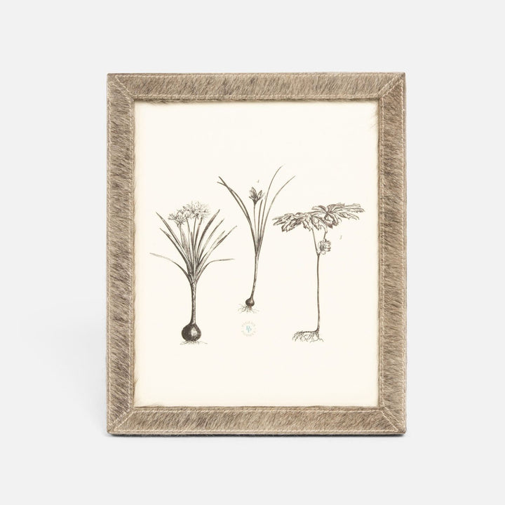 Verwood, Gray, Frame, 8"X 10", Hair-On-Hide