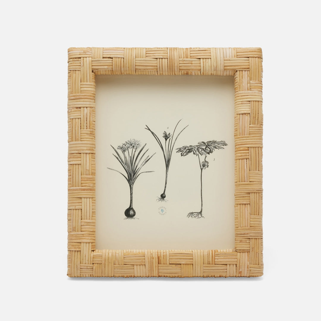 Calais, Natural, Frame, 8"X10", Cane Skin