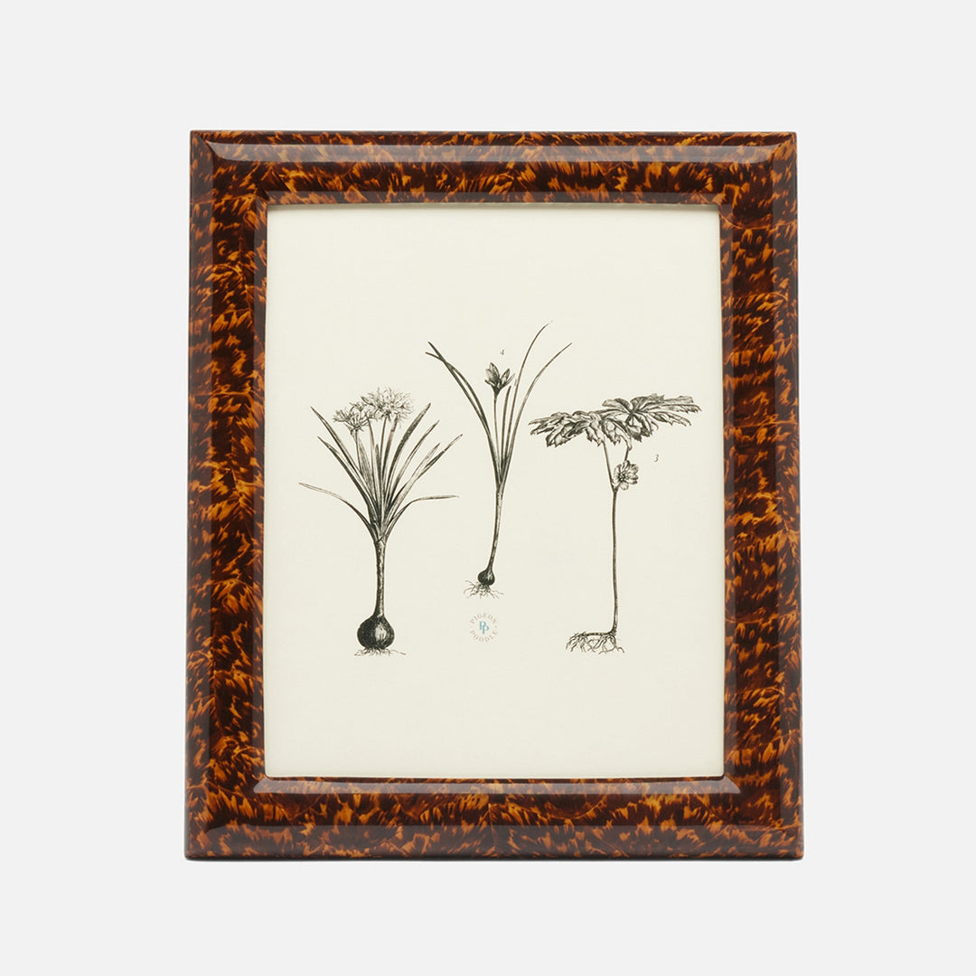 Dana, High Gloss, Frame, 8"X10", Faux Tortoise
