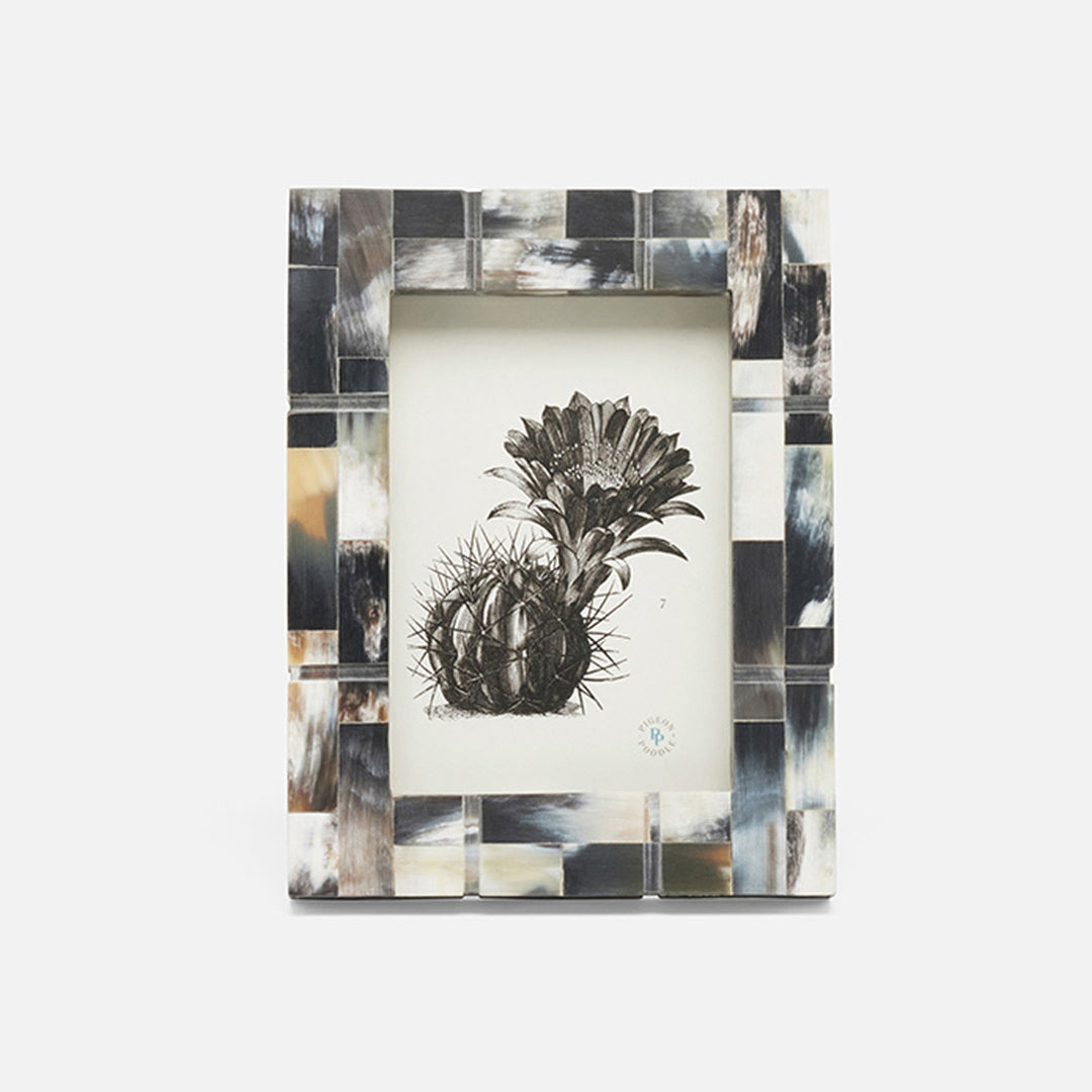 Darwin, Dark, Frame, 5"X7", Horn