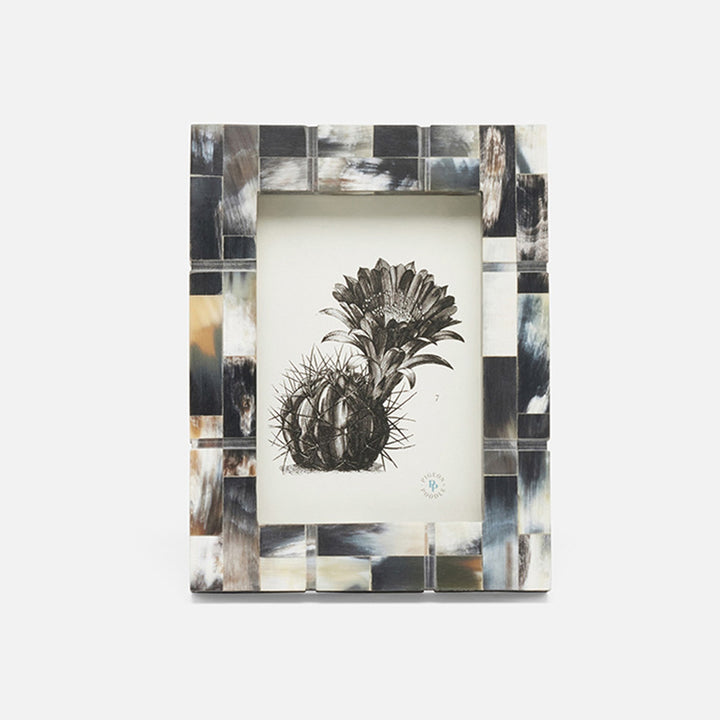 Darwin, Dark, Frame, 5"X7", Horn