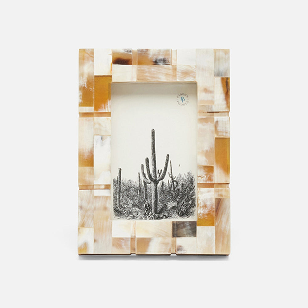 Darwin, Natural, Frame, 4"X6", Horn