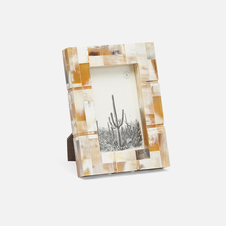 Darwin, Natural, Frame, 4"X6", Horn