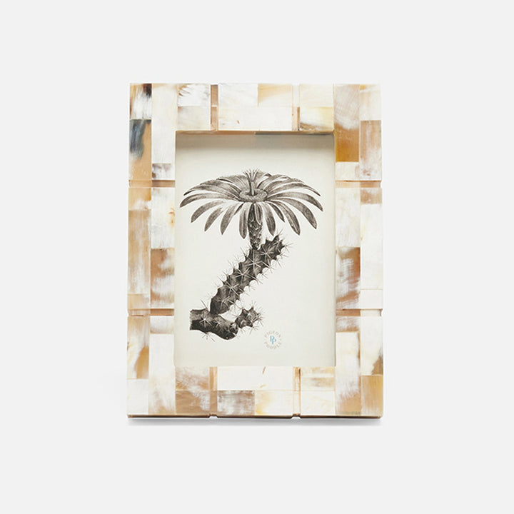 Darwin, Natural, Frame, 5"X7", Horn