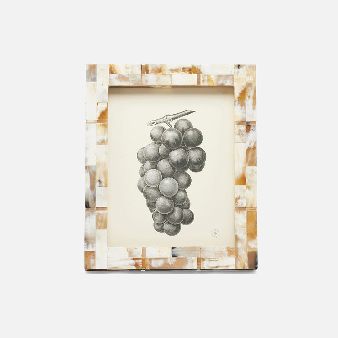 Darwin, Natural, Frame, 8"X10", Horn