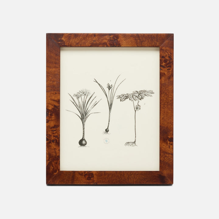Nelson, Dark Honey, Frame, 8"X10", Mappa Burl