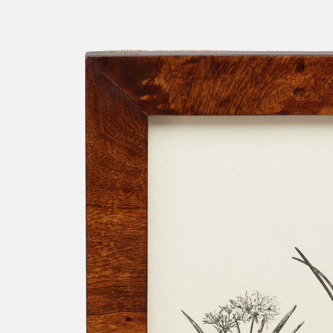 Nelson, Dark Honey, Frame, 8"X10", Mappa Burl