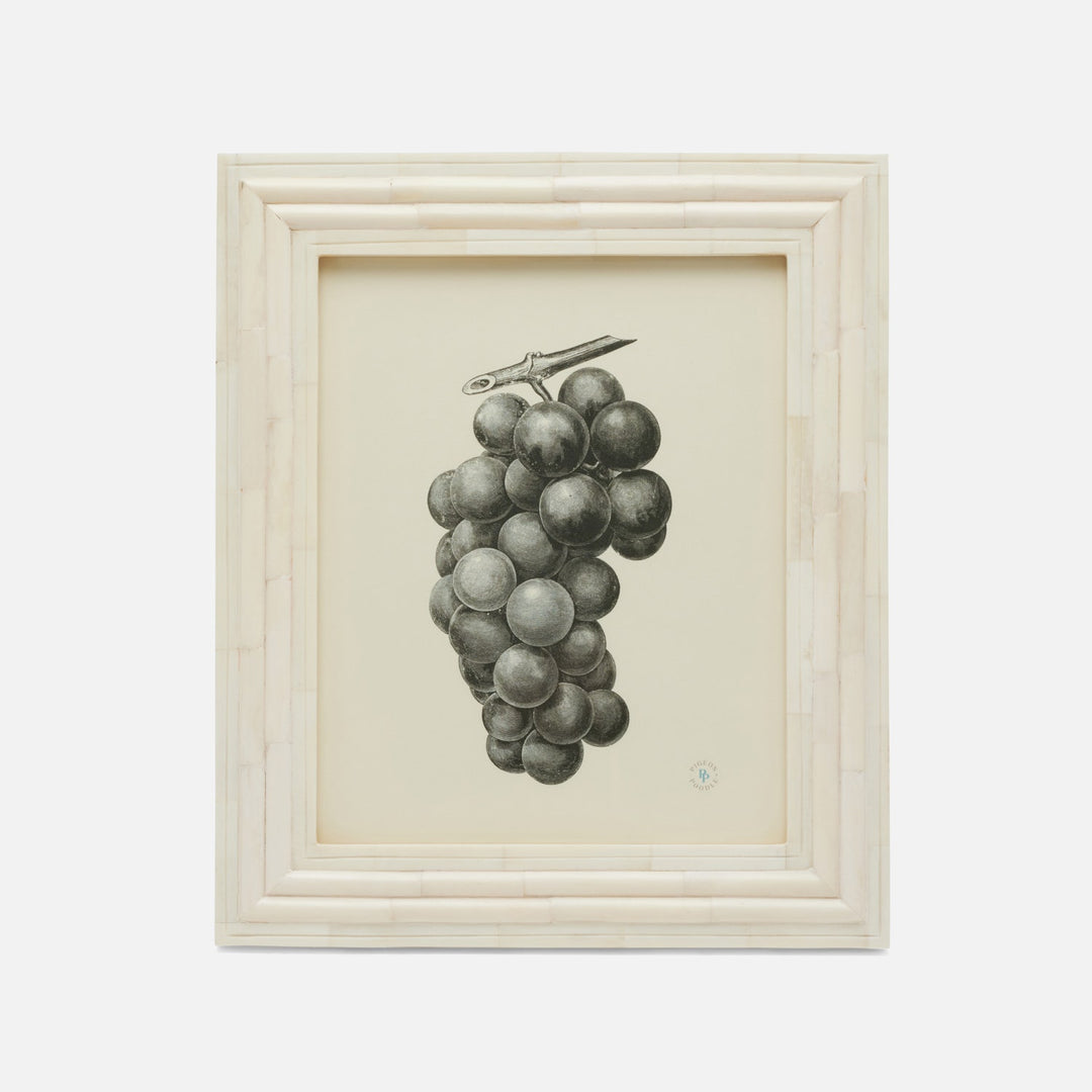Novara, Natural, Frame, 8"X10", Bone