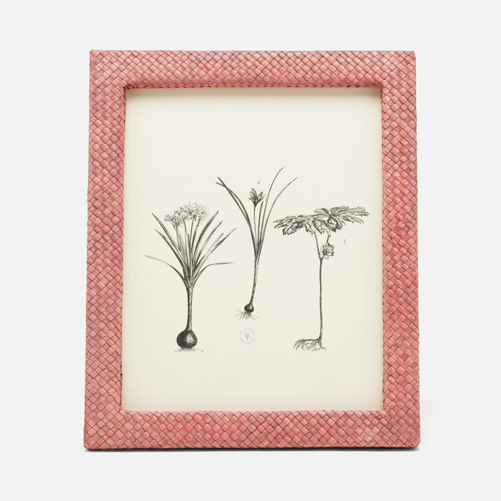 Uvita, Vintage Rose, Frame, 8"X10", Pandan