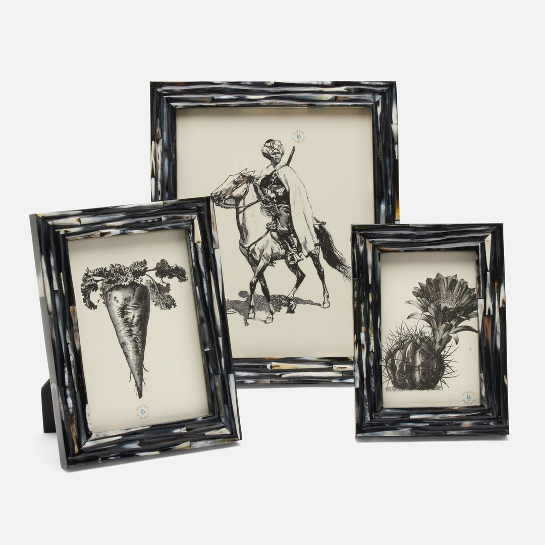 Winslow, Dark Mix, Frame, 8"X10", Horn