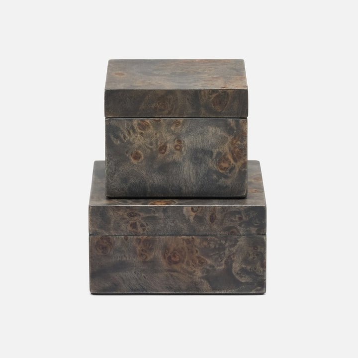 Chandler, Ash Gray, Square Boxes, Mappa Burl, S/2