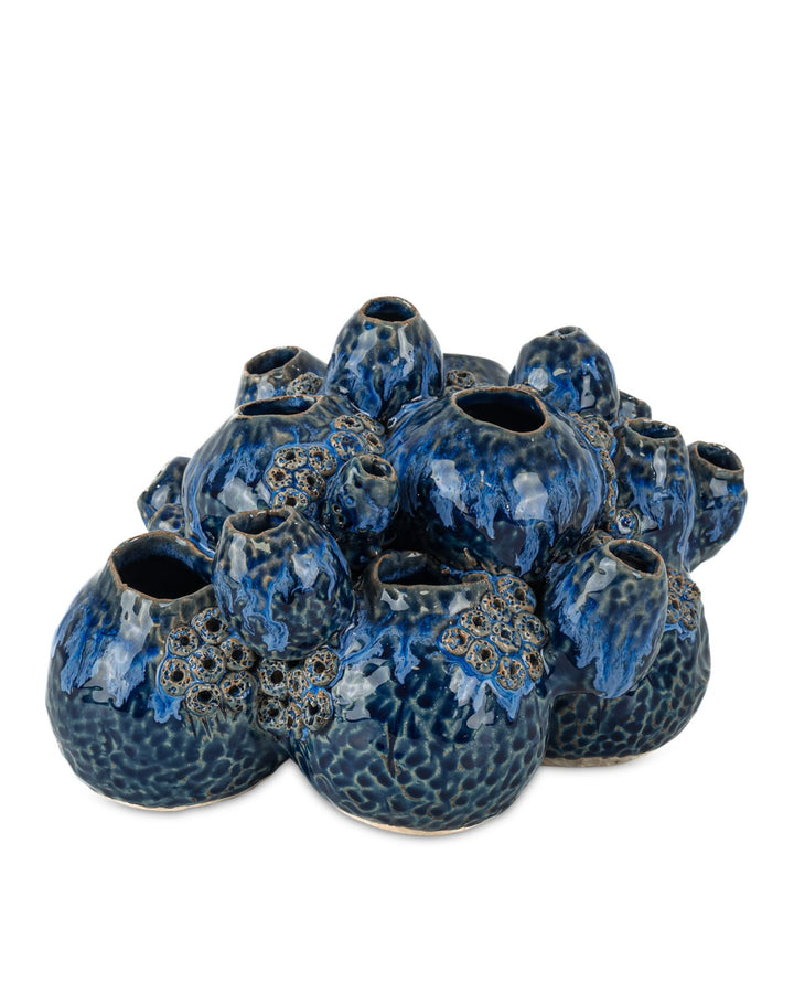 Decorative Objects Sulawasi Blue Shells