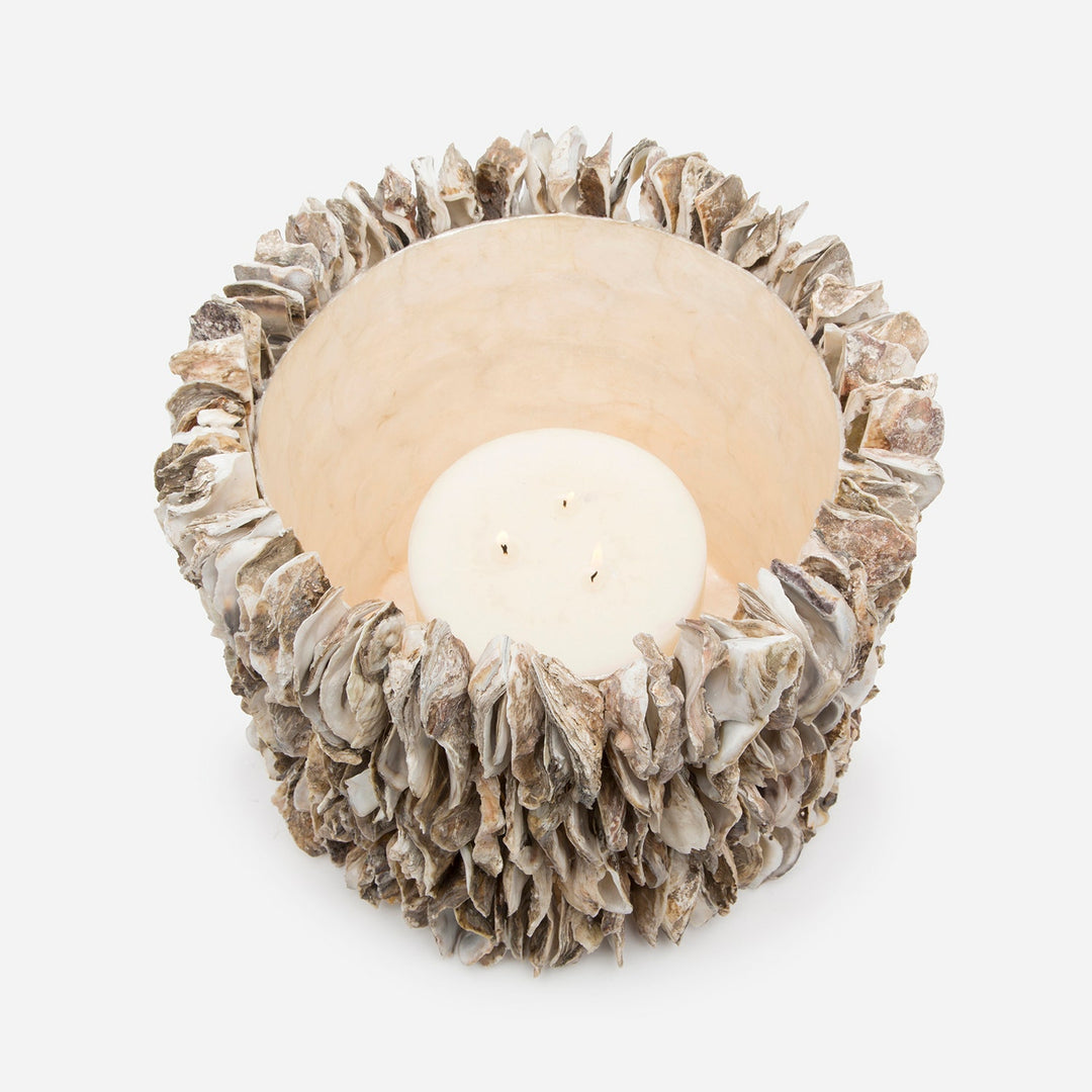 Halifax, Natural, Hurricane, Large, Oyster Shell