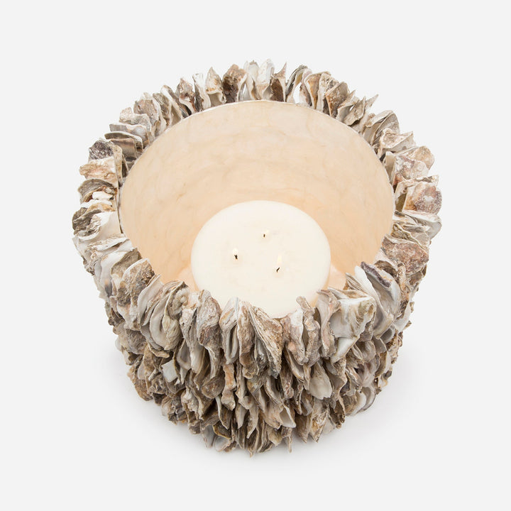 Halifax, Natural, Hurricane, Large, Oyster Shell