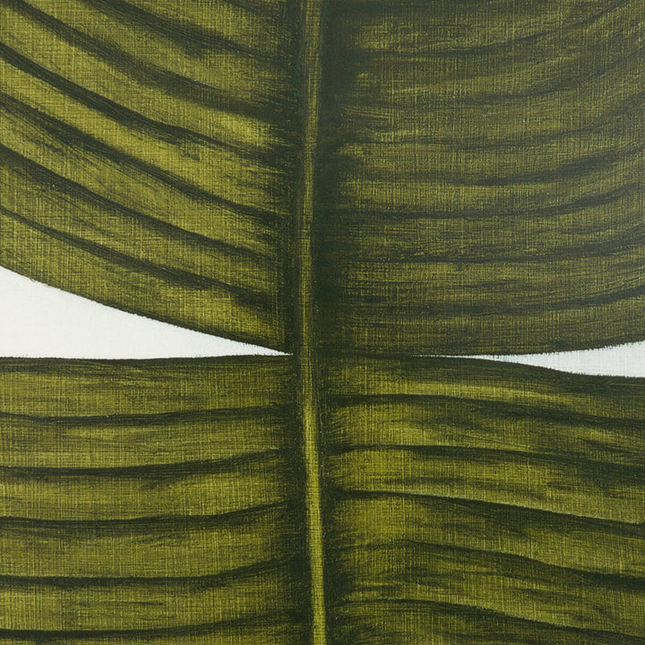 Ficus Elastica By Marianne Hendriks - 30"X40"