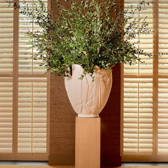 Planter Zanzibar