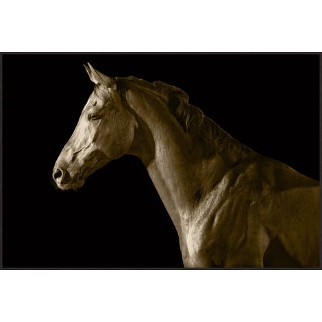 Equine Portrait (13801)-Wendover-WEND-13801-Wall Art-1-France and Son